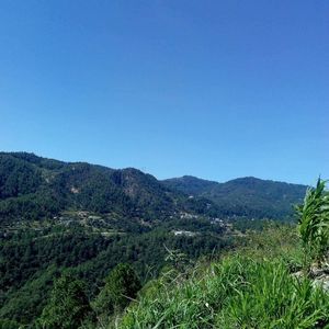 Meet your Posher, Floridalma